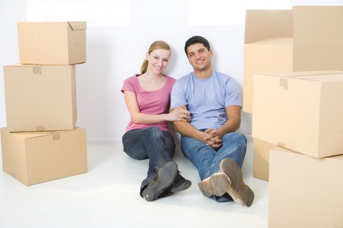 Illustration of cookie settings for Removal Van Mayfair website